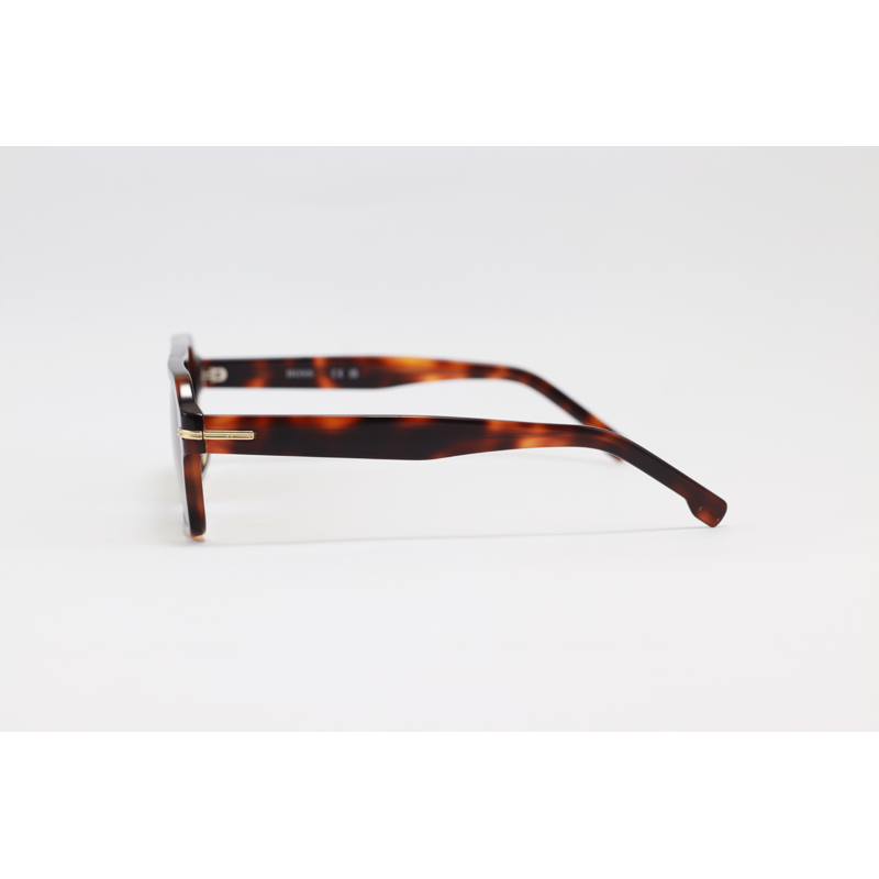 Hugo Boss - 1595 - Tortoise Brown Gradient - Acetate - Rectangle - Sunglasses