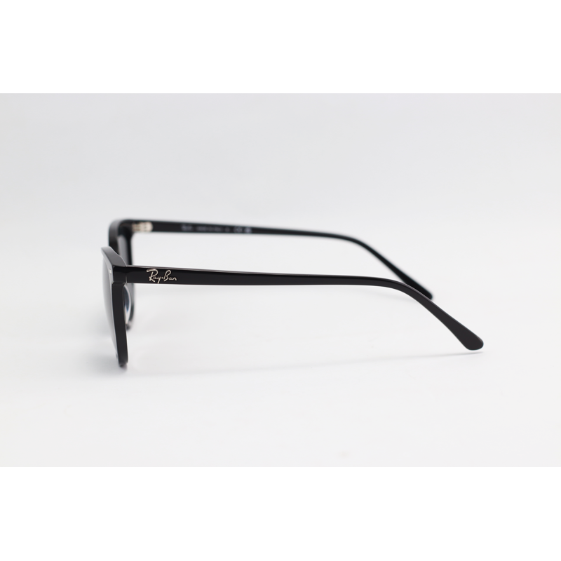 Ray B - ELLIOT - 2197 - Black - Acetate - Oval - Sunglasses