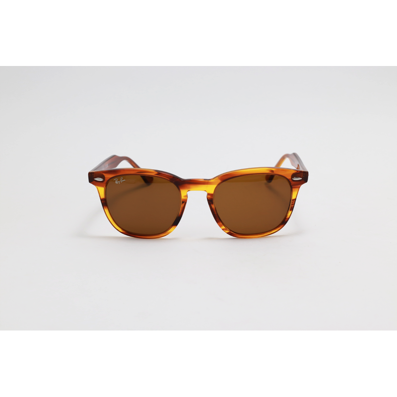 Ray B - 2298 - HAWKEYE - Striped Havana Brown - Acetate - Rectangle - Sunglasses