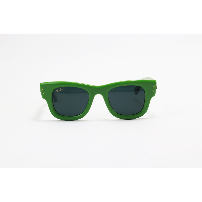 Ray B - WAYFARER PUFFER - RB4940 - Green Black - Rectangle - Sunglasses