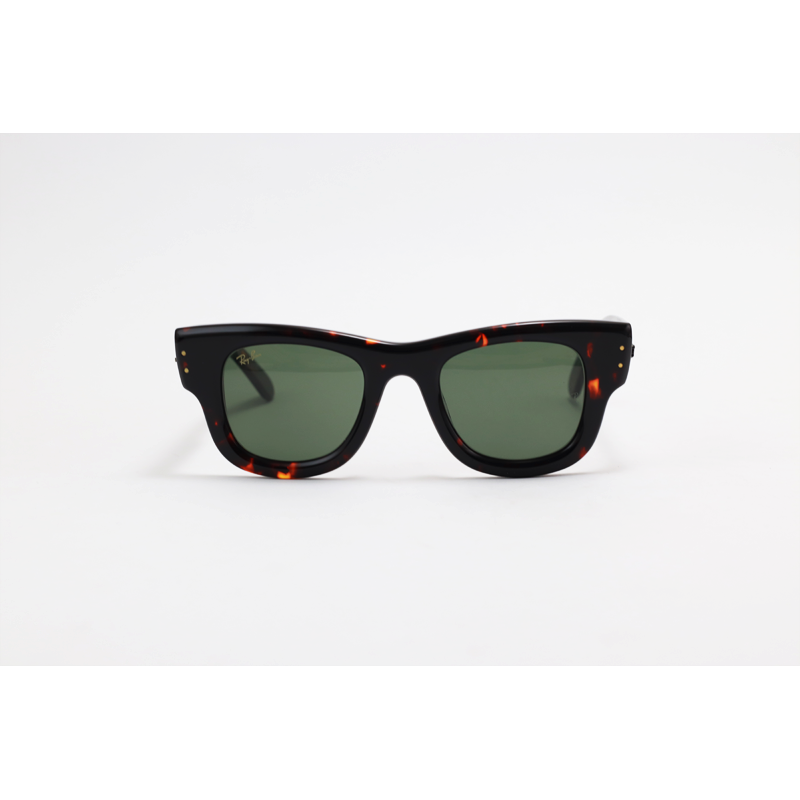 Ray B - WAYFARER PUFFER - RB4940 - Tortoise Green - Rectangle - Sunglasses