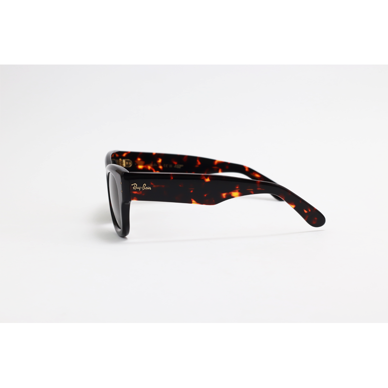 Ray B - WAYFARER PUFFER - RB4940 - Tortoise Green - Rectangle - Sunglasses
