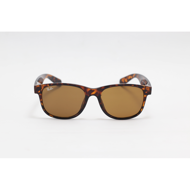 Ray B - ANDY – 4202 – Tortoise Brown – Acetate – Rectangle – Sunglasses