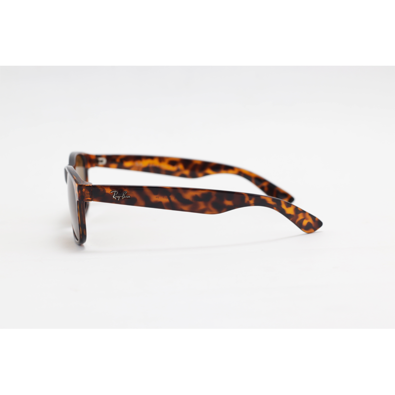 Ray B - ANDY – 4202 – Tortoise Brown – Acetate – Rectangle – Sunglasses