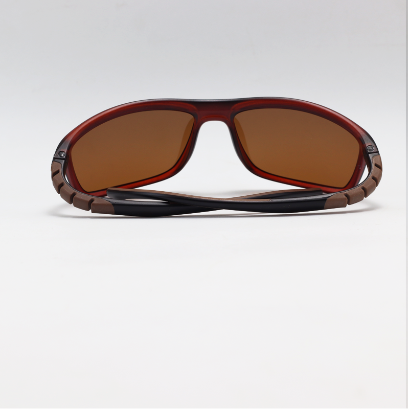 Ray B - 2073 - Brown - Acetate - Polarized - Rectangle - Sunglasses