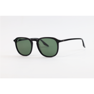 Ray B - 2203 - Black Green - Acetate - Square - Sunglasses
