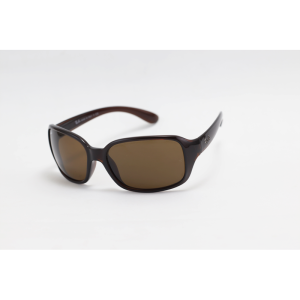 Ray B – RB4068 – Brown – Acetate – Rectangle – Sunglasses