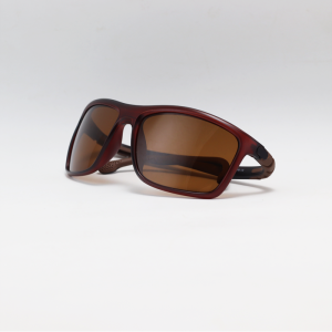 Ray B - 2073 - Brown - Acetate - Polarized - Rectangle - Sunglasses