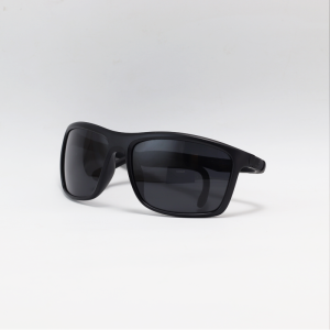 Ray B - 2073 - Black - Acetate - Polarized - Rectangle - Sunglasses